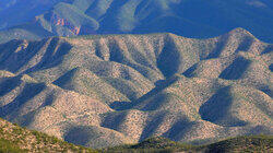 Wild Heart of Sierra Gorda