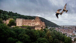 Heidelberg: Secrets in Stone