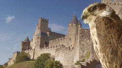 Carcassone: The Realm of the Owl