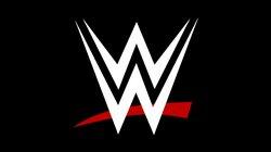 logo of WWE Network