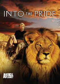 Into the Pride