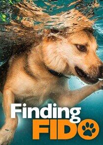 Finding Fido