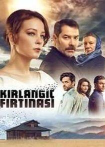 Kırlangıç Fırtınası