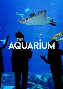 The Aquarium - Season 1