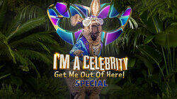 The Masked Singer: I'm A Celebrity Special