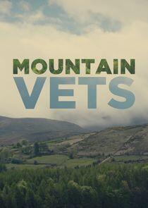 Mountain Vets