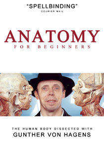 Anatomy for Beginners