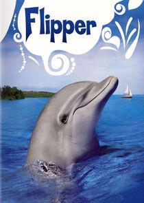 Flipper