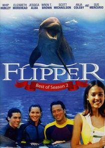 Flipper