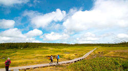 Hachimantai: Timeless Landscape, Healing Water