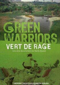 Vert de rage