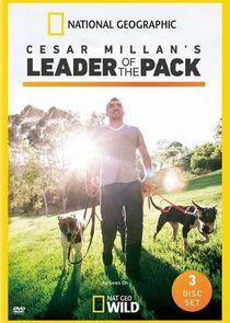 Cesar Millan's Leader of the Pack