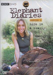 Elephant Diaries