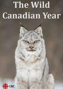 The Wild Canadian Year