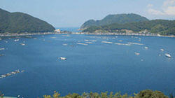 Following the Old Mackerel Road - Wakasa Bay, Fukui Pref.