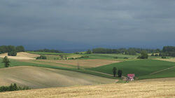 Biei, Hokkaido: Layers of Beauty in the Patchwork Hills