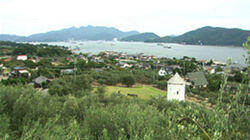 Savoring Fall on Shodoshima