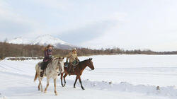 Winter Wonderland: Hakodate