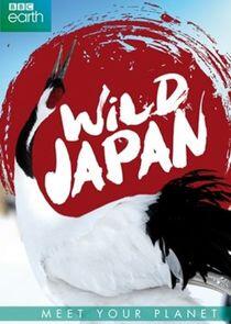 Japan: Earth's Enchanted Islands - Season 1