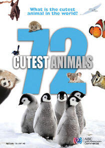 72 Cutest Animals - Season 1