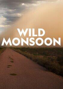 Wild Monsoon