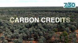 Carbon Credits