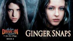 Ginger Snaps