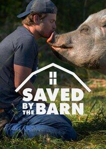 Saved by the Barn