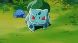 Bulbasaur and the Hidden Village