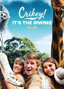 Crikey! It's the Irwins - Season 1