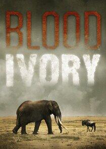 Blood Ivory