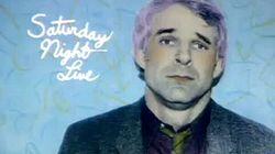 Steve Martin / Blondie