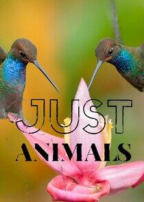 Just Animals