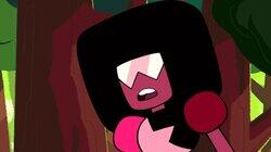 Garnet's Universe