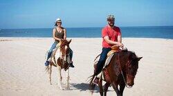 Big Waves and Off-Roading in Cabo