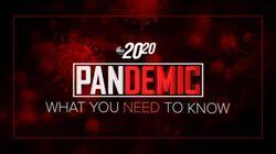 Pandemic: What You Need to Know