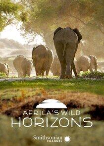 Africa's Wild Horizons