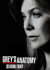 Grey's Anatomy - Season 8