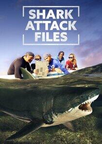 Shark Attack Files