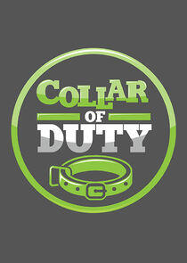 Collar of Duty