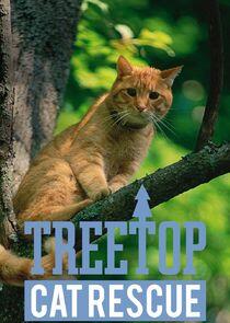 Treetop Cat Rescue