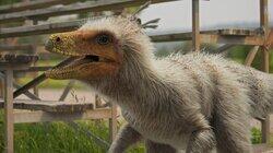 Chickenosaurus Rex