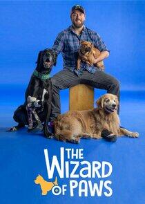 The Wizard of Paws