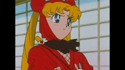 Protect Mammoru! Jealousy of Usagi the Ninja