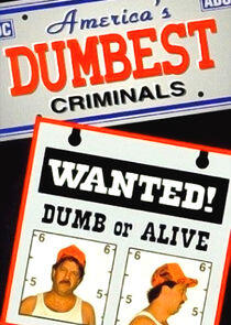 America's Dumbest Criminals