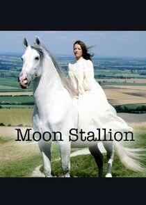 The Moon Stallion