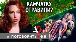 Камчатку отравили? Экологическая катастрофа в Тихом Океане