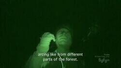 Haunted Forest / Alux