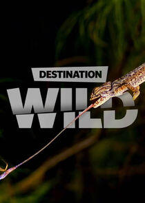 Destination Wild