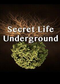 Secret Life Underground